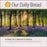 Audio CD-Our Daily Bread Hymns Of Comfort & Grace
