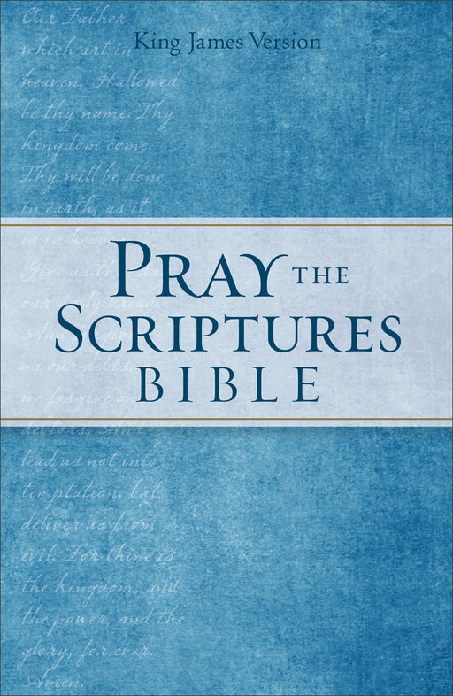 KJV Pray The Scriptures Bible-Blue Hardcover