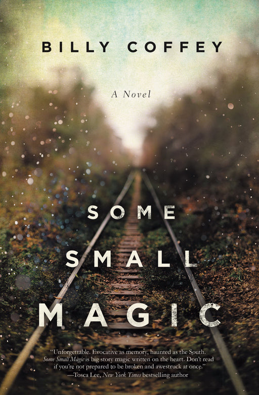 Some Small Magic: A Novel