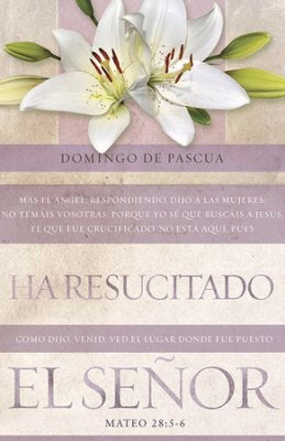 Span-Bulletin-Easter: He Is Not Here For He Has Risen (No Estu00e1 Aquu00ed, Pues Ha Resucitado) (Pack Of 100) (Pkg-100)