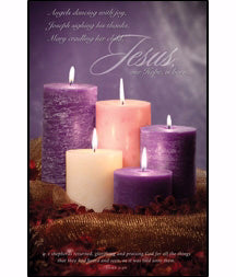 Bulletin-Advent Week 5: Jesus, Our Hope, Is Born (Luke 2:20) (Pack Of 100) (Pkg-100)
