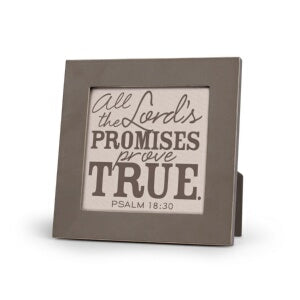 Plaque-Promises Prove True (#11578)