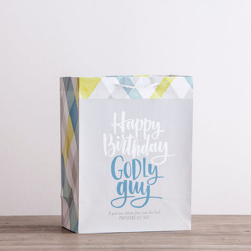Gift Bag-Value-Godly Guy Birthday-Proverbs 12:2-Large