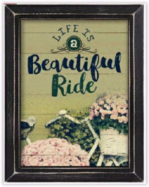 Framed Art-Life Is A Beautiful Ride (Distressed Sa