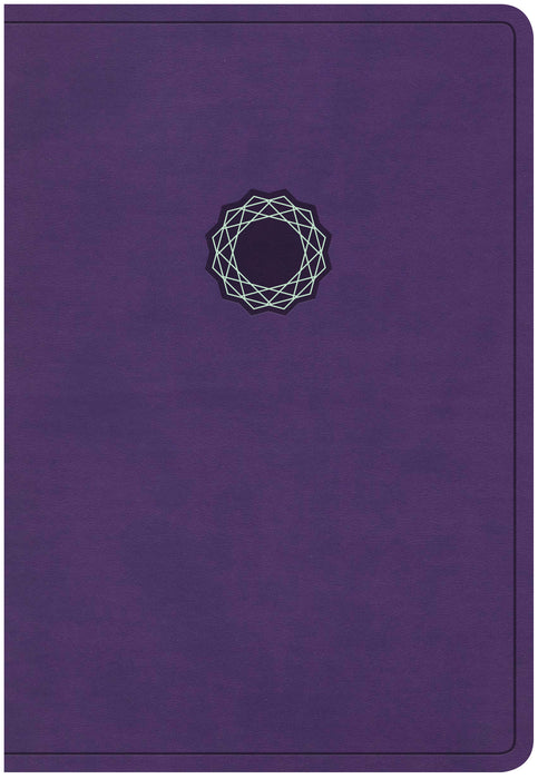 KJV Deluxe Gift Bible-Purple/Teal LeatherTouch