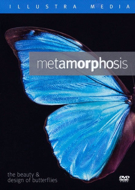 DVD-Metamorphosis: The Beauty And Design Of Butterfiles Blu-Ray