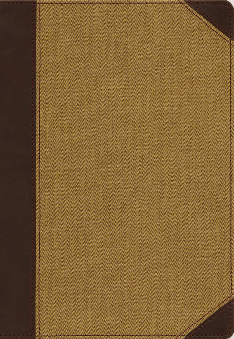 NIV Cultural Backgrounds Study Bible/Large Print-Brown/Tan Leathersoft Indexed