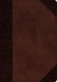 ESV Journaling Psalter-Brown/Walnut Portfolio Design TruTone