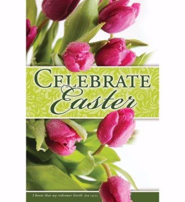 Bulletin-Celebrate Easter (Job 19:5) (Pack Of 100) (Pkg-100)
