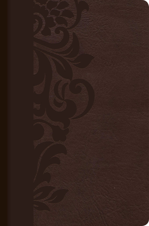 Span-RVR 1960 Study Bible For Women-Brown LeatherTouch