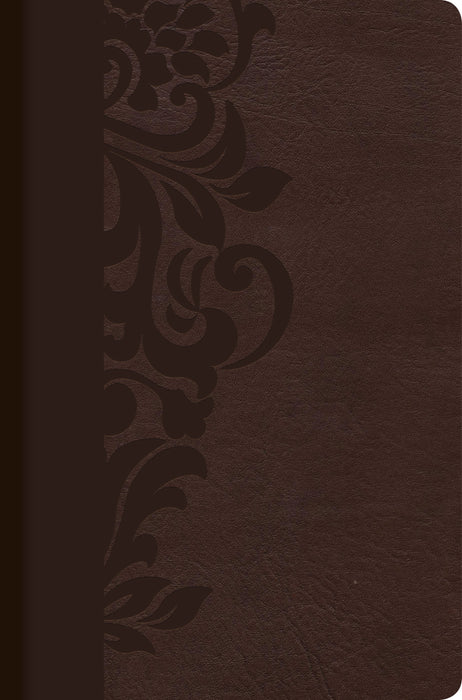 Span-RVR 1960 Study Bible For Women-Brown LeatherTouch