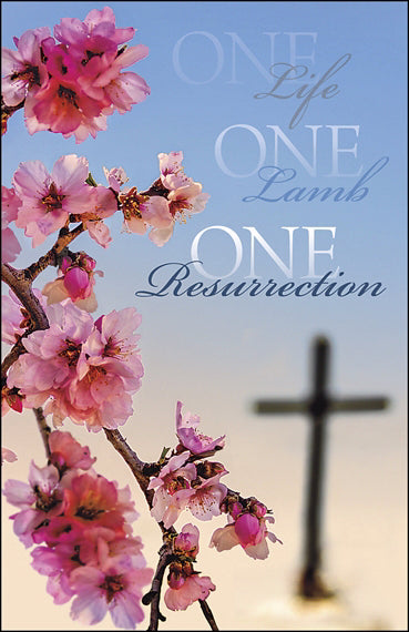 Bulletin-One Life One Lamb One Resurrection/Pink Blossoms (Easter) (Pack Of 100) (Pkg-100)