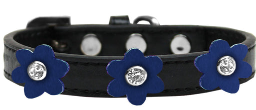 Flower Premium Collar Black With Blue flowers Size 16