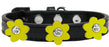 Flower Premium Collar Black With Yellow flowers Size 12