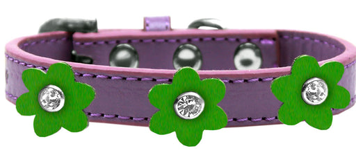Flower Premium Collar Lavender With Emerald Green flowers Size 12