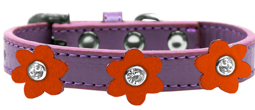 Flower Premium Collar Lavender With Orange flowers Size 16