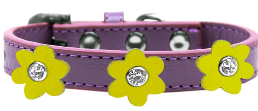 Flower Premium Collar Lavender With Yellow flowers Size 10