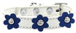 Flower Premium Collar White With Blue flowers Size 12