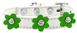 Flower Premium Collar White With Emerald Green flowers Size 12