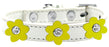 Flower Premium Collar White With Yellow flowers Size 12