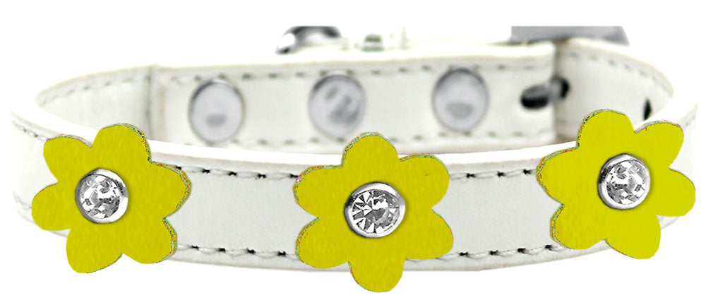 Flower Premium Collar White With Yellow flowers Size 12