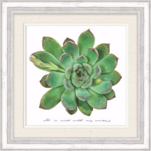 Framed Art-It Is Well (Succulent) (13.5 x 13.5)