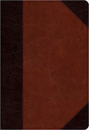ESV Compact Bible/Large Print-Brown/Cordovan Portfolio Design TruTone