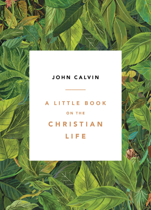 A Little Book On The Christian Life-Leaves Cover