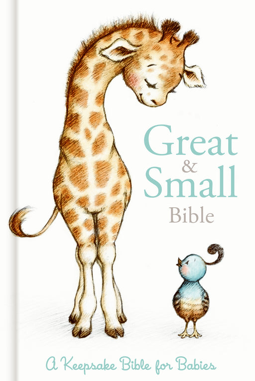 CSB Great And Small Bible (Boxed)
