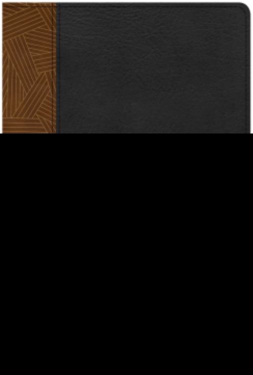 CSB Rainbow Study Bible-Black/Tan LeatherTouch