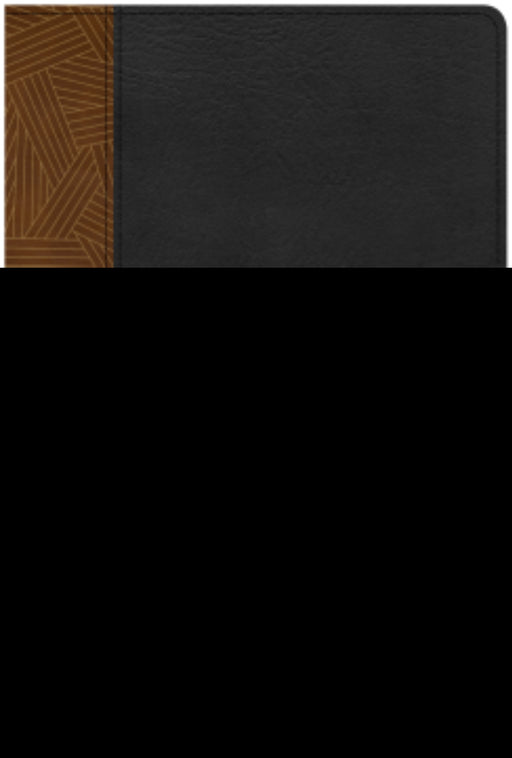 CSB Rainbow Study Bible-Black/Tan LeatherTouch Indexed