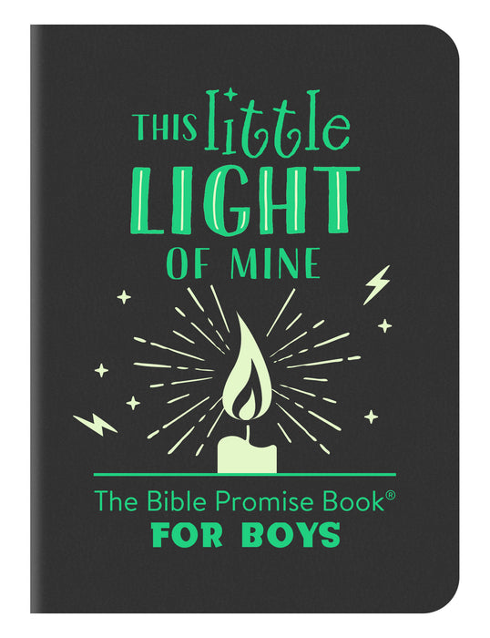 This Little Light Of Mine: The Bible Promise Book For Boys