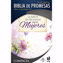 Span-RVR 1960 Promise Bible/Compact-Floral Imitation Leather Indexed