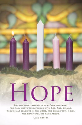 Bulletin-Advent Week 1: Hope (Luke 1:30-31) (Pack Of 100) (Pkg-100)