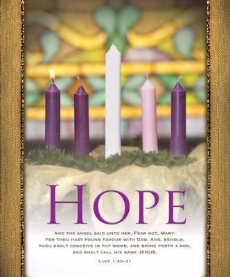 Bulletin-Advent Week 1: Hope (Luke 1:30-31)-Legal Size (Pack Of 100) (Pkg-100)