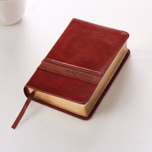 KJV Compact/Large Print Bible-Brown LuxLeather