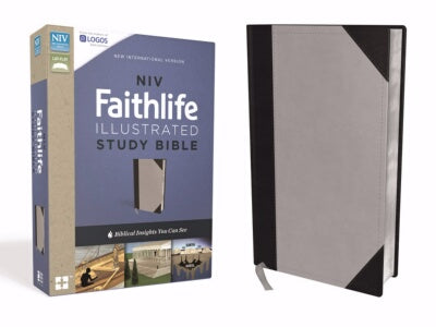 NIV Faithlife Illustrated Study Bible-Gray/Black L