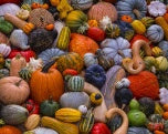 Jigsaw Puzzle-Autumn Harvest (1000 Pieces)