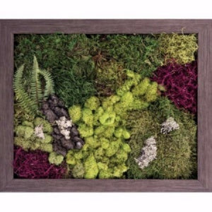 Framed Art-Velvet Garden (19 x 23)