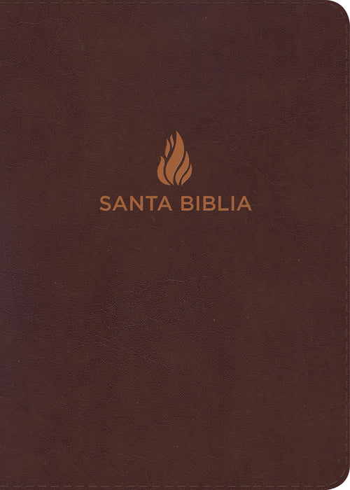 Span-RVR 1960 Hand Size Giant Print Bible-Brown Bonded Leather