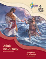 Growing In Christ Sunday School: Adult Bible Study (NT2) (#460650)