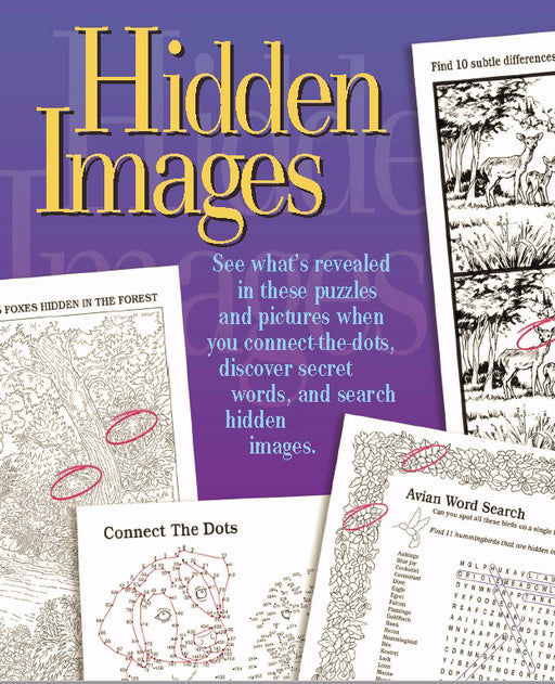 Hidden Images