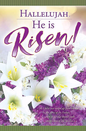 Bulletin-Hallelujah, He Is Risen! (Romans 6:4) (Pack Of 100) (Pkg-100)