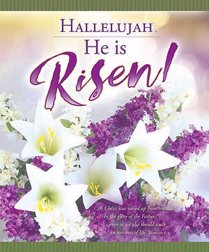 Bulletin-Hallelujah, He Is Risen! (Romans 6:4)-Legal Size (Pack Of 100) (Pkg-100)
