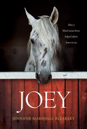 Joey-Hardcover