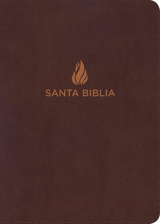 Span-NVI Large Print Compact Bible-Brown Bonded Leather Indexed
