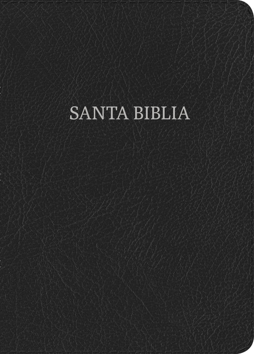 Span-NVI Large Print Compact Bible-Black Bonded Leather