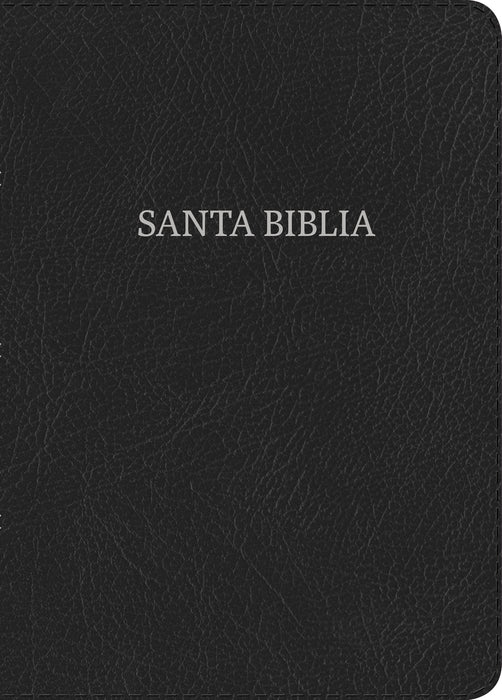 Span-NVI Hand Size Giant Print Bible-Black Bonded Leather