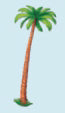 Treasure Hunt-Jointed Palm Tree