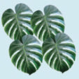 Treasure Hunt-Fabric Palm Leaves (Pack Of 4) (Pkg-4)